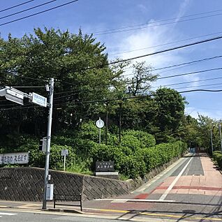 福岡市立友泉中学校 約811m(徒歩11分)