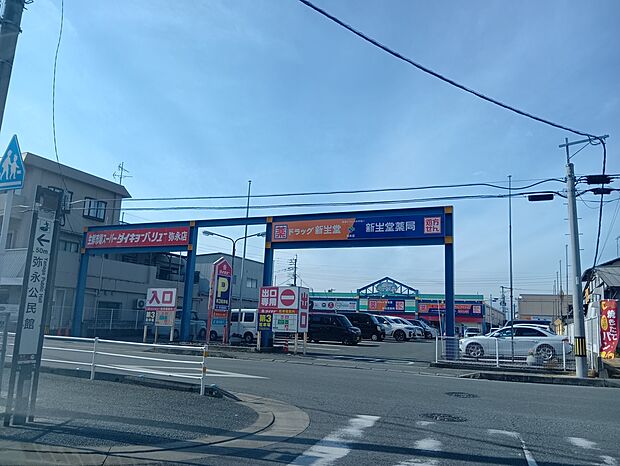 ドラッグ新生堂弥永店