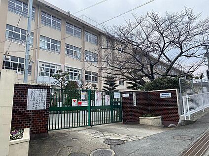 福岡市立長住小学校 約280m(徒歩4分)