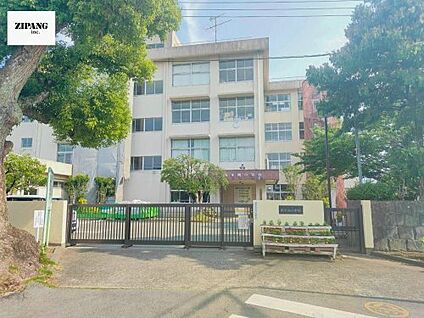 熊本市立出水南小学校 徒歩904m