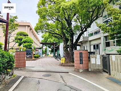 熊本市立御幸小学校 徒歩1385m