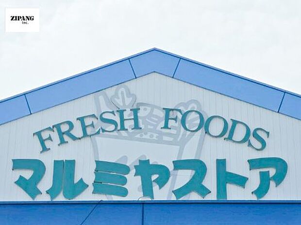 マルミヤストア秋津店