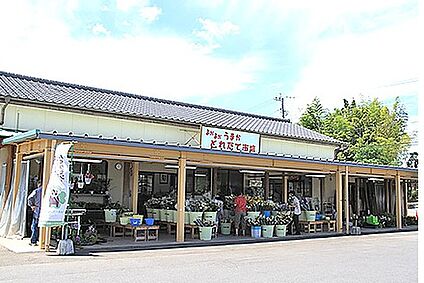 よかよかうまかとれたて市場嘉島店 徒歩3383m