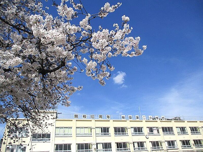 【学校】中野区立桃園第二小学校