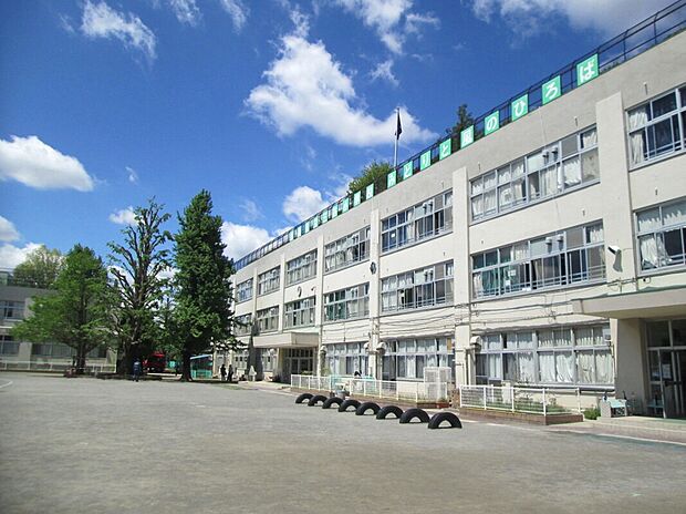 杉並区立三谷小学校(約500m)