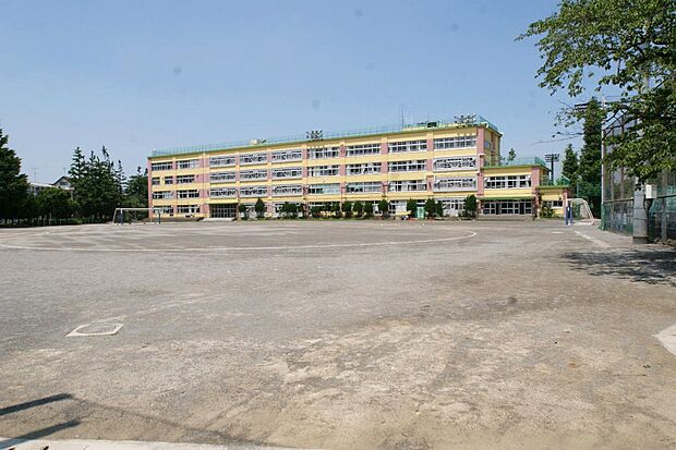 杉並区立向陽中学校