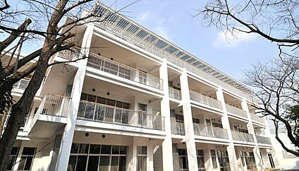 杉並区立方南小学校 約389m(徒歩5分)