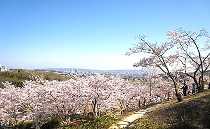 摂津峡公園 2.5km