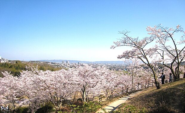 摂津峡公園（約2m）
