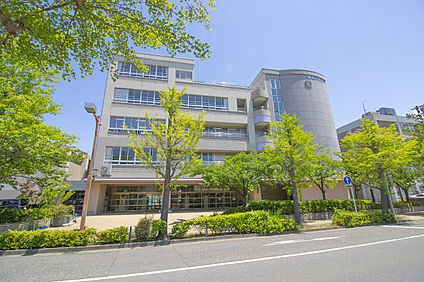 新潟小学校 150m(徒歩2分)