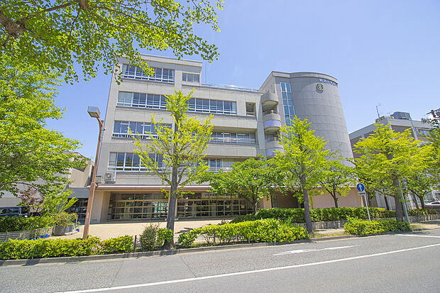 新潟小学校（約150m）