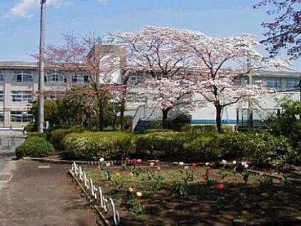 松枝小学校 1393ｍ