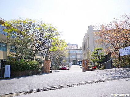 福岡市立和白丘中学校 1590m