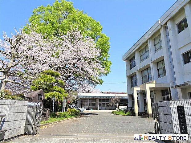 熊本市立桜山中学校（約800m）