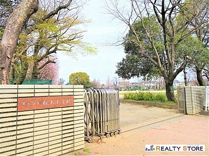 熊本市立桜木小学校 500m