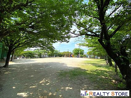 松の上公園 250m