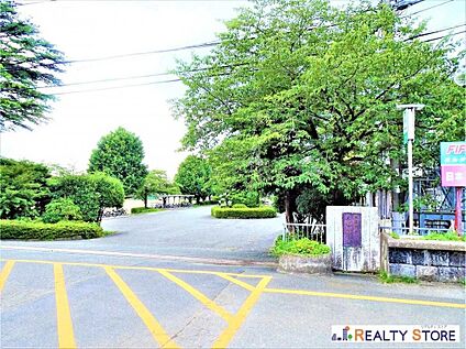 大津町立大津中学校 3000m