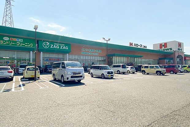 ハローズ江崎店(約1m)