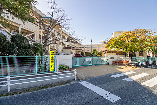 中島小学校（約1m）