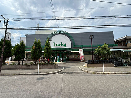 ラッキー 交野店 500m