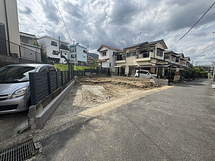 2026年6月撮影