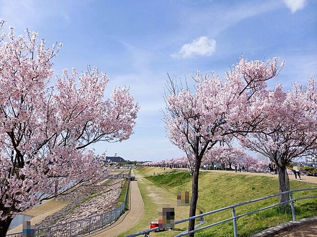 【周辺環境】
買い物施設・病院・小学校が徒歩10分圏内に揃う、暮らしやすい住環境です!徒歩約2分の距離には、自然豊かな狭山池公園があり、子育て世帯にもおすすめ◎詳細はお気軽にお問い合わせください!