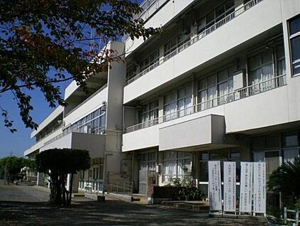 東久留米市立本村小学校 800ｍ(徒歩10分)