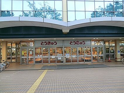 湘南とうきゅう 800m(10分)