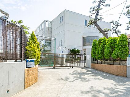 茅ヶ崎市立松浪小学校 807m(11分)