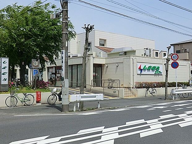 しまむらストアー すみれ平店（約350m・徒歩5分）