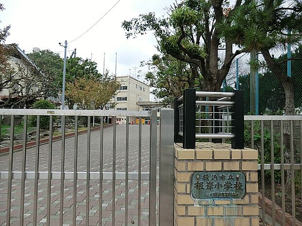 横浜市立根岸小学校(約1,132m・徒歩15分)