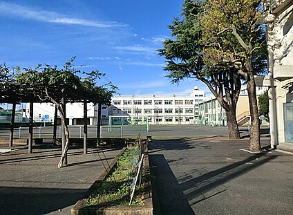 横浜市立南瀬谷小学校 400m(5分)