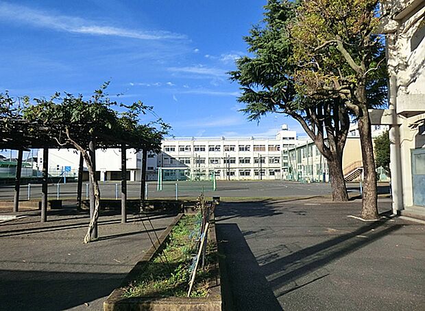横浜市立南瀬谷小学校(約400m・徒歩5分)