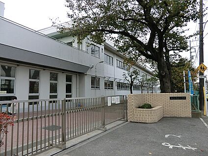 横浜市立梅林小学校 500m(7分)