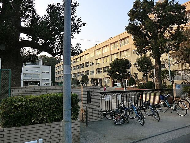 横浜市立新井小学校(約800m・徒歩10分)