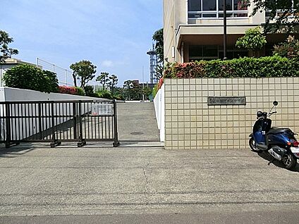 藤沢市立滝の沢中学校 800m(10分)