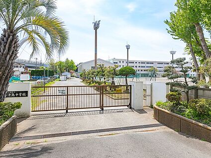 茅ヶ崎市立中島中学校 650m(9分)