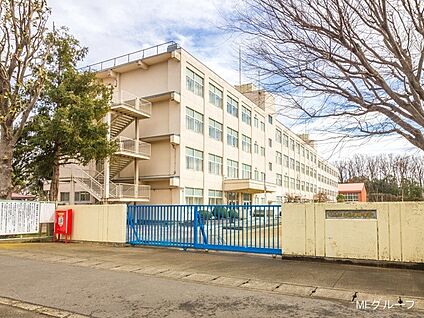 大和市立上和田中学校 1200m(15分)