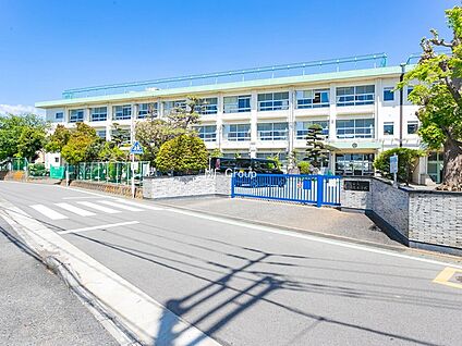 平塚市立岡崎小学校 約480m(5分～6分)