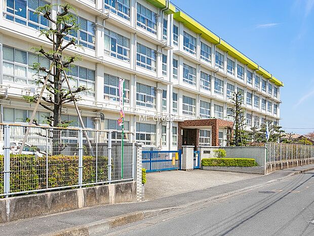 平塚市立山下小学校(約480m・徒歩6分)