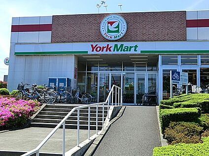 ヨークマート 伊勢原成瀬店 800m(10分)