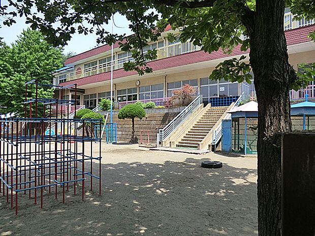 柏幼稚園（約400m・徒歩5分）