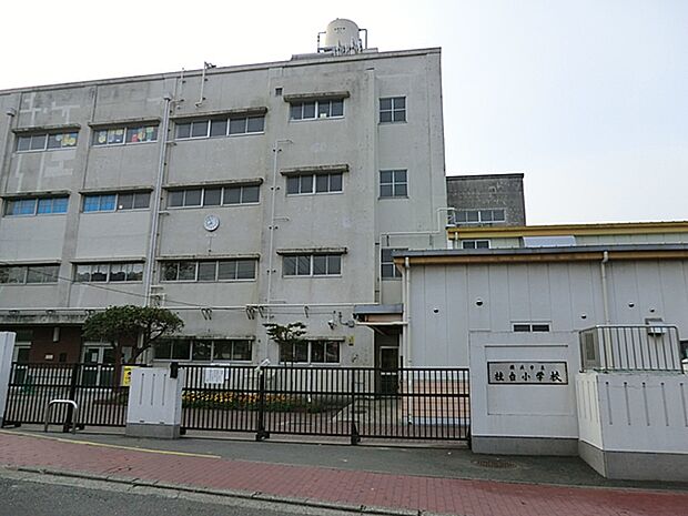 横浜市立桂台小学校(約550m・徒歩7分)