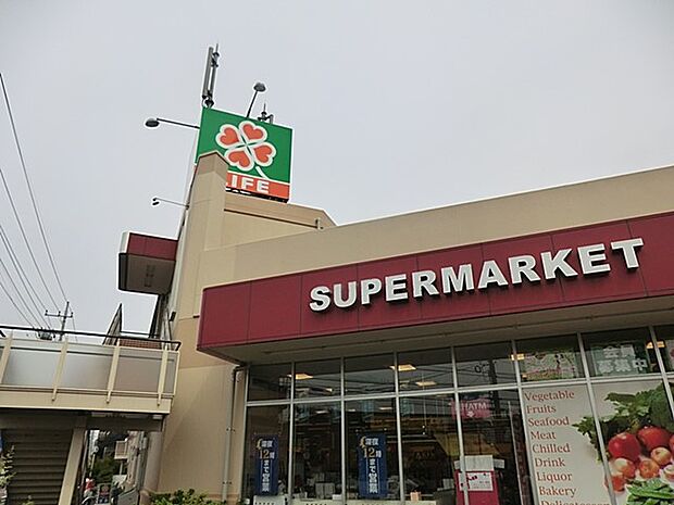 ライフ相模原若松店(約500m・徒歩7分)