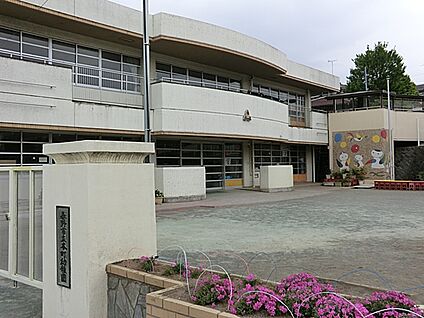 秦野市立本町幼稚園 1000m(13分)