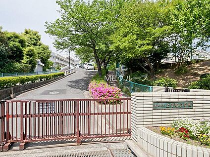 横浜市立上寺尾小学校 750m(10分)