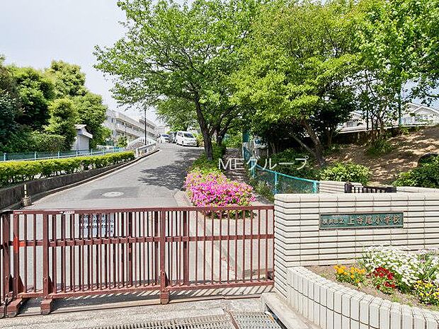 横浜市立上寺尾小学校（約750m・徒歩10分）