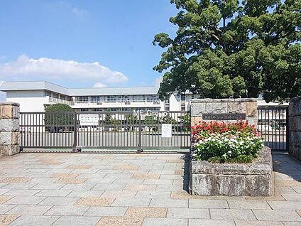 相模原市立新磯小学校 989m(13分)