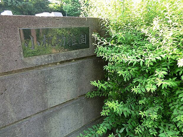 小机幼稚園(約300m・徒歩4分)