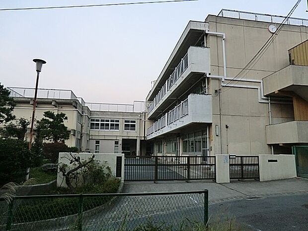 横浜市立岡津中学校(約800m・徒歩10分)